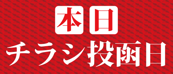 AMUSEMENTSPACE  WONDERの最新情報画像