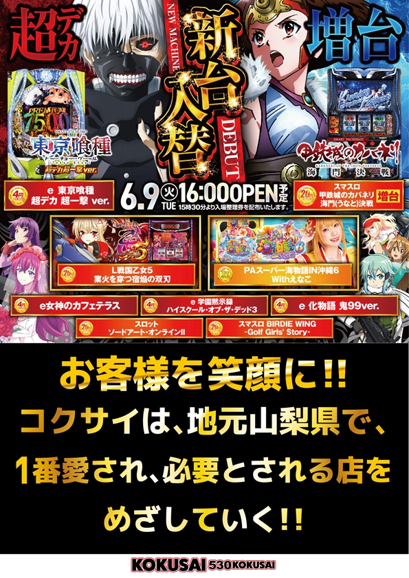 KOKUSAI 530 KOKUSAIの最新情報画像
