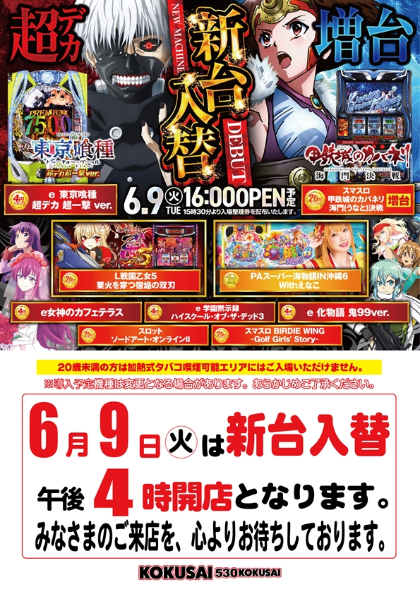 KOKUSAI 530 KOKUSAIの最新情報画像