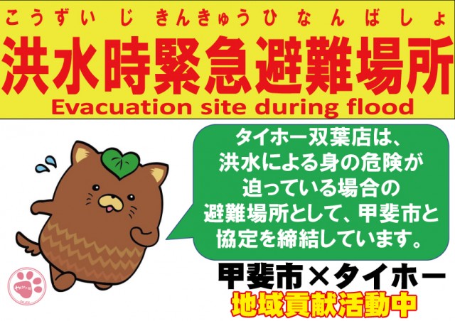 タイホー双葉の最新情報画像