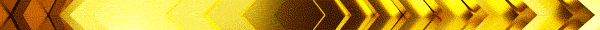 GOLD CONCORDE富士の最新情報画像