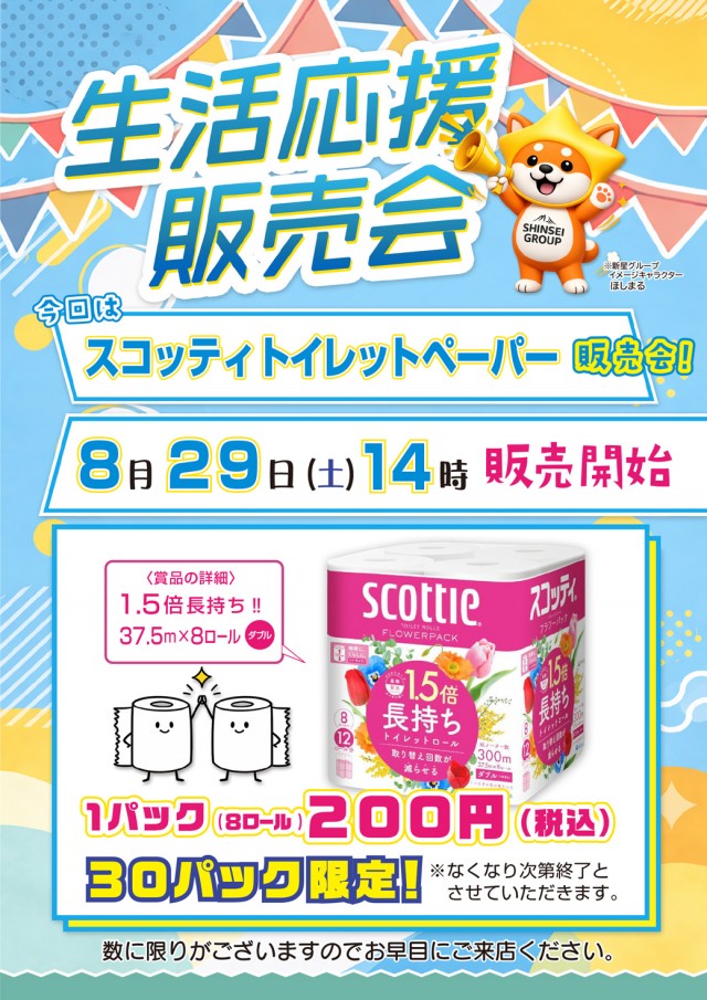 新星カミサトの最新情報画像