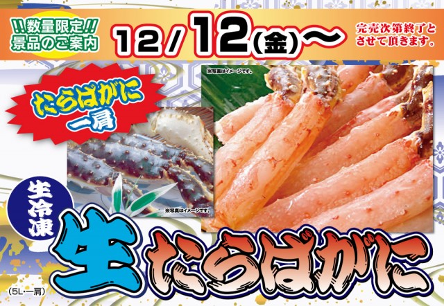 新星一番の最新情報画像