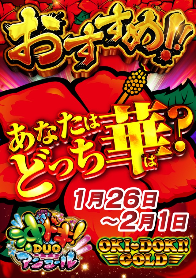 ニューアサヒ茅野店の最新情報画像