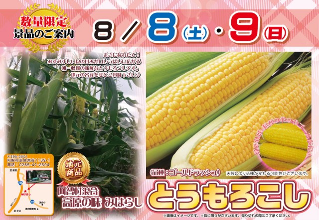 新星タカモリの最新情報画像
