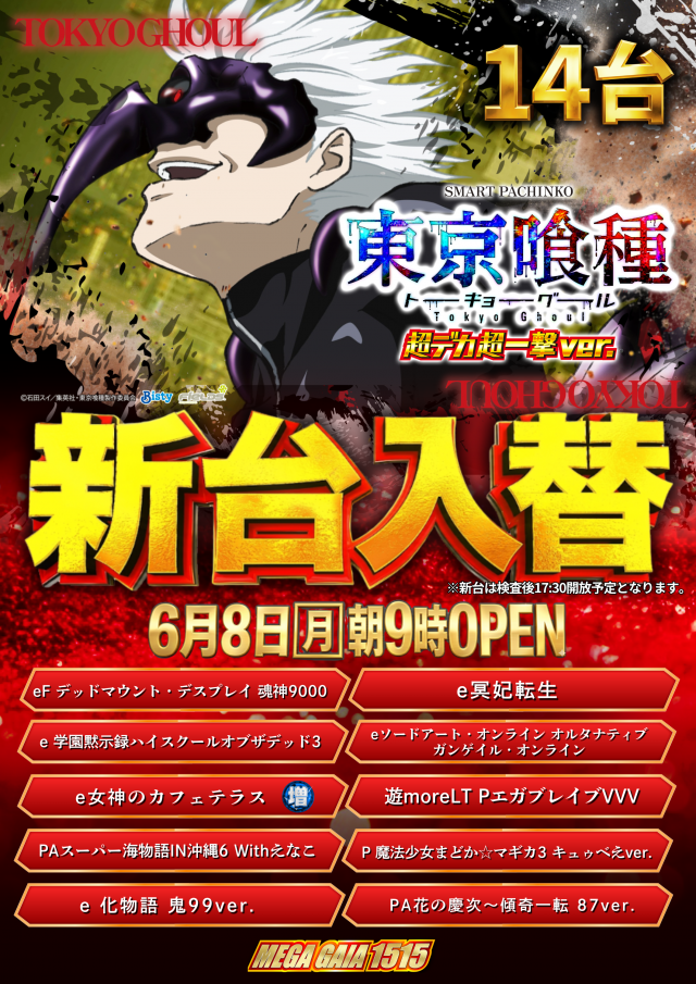 メガガイア一宮の最新情報画像