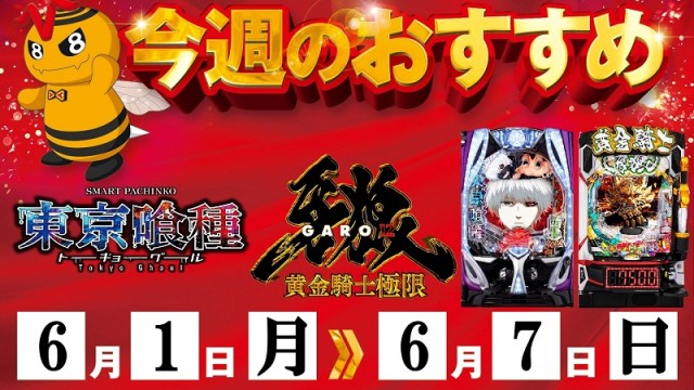 ベガビック1130豊川店の最新情報画像