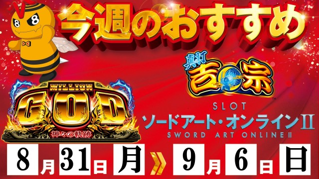 ベガビック1130豊川店の最新情報画像