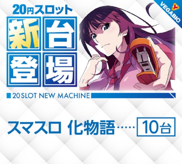 ベガビック1130豊川店の最新情報画像