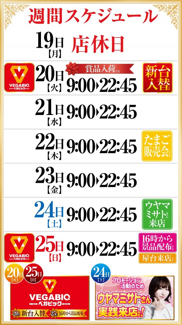 ベガビック1130豊川店の最新情報画像