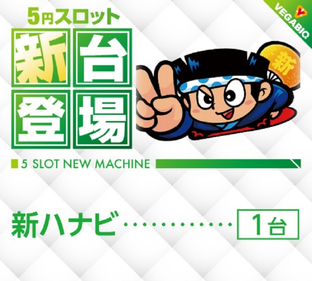 ベガビック1130豊川店の最新情報画像