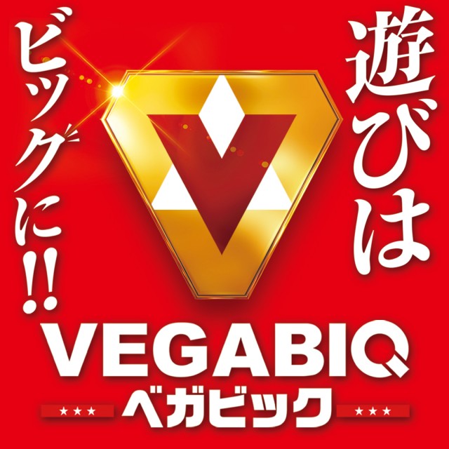 ベガビック1130豊川店の最新情報画像