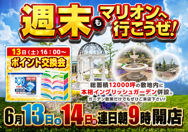 マリオンガーデン1000の最新情報画像