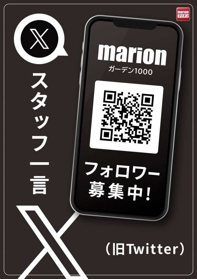 マリオンガーデン1000の最新情報画像