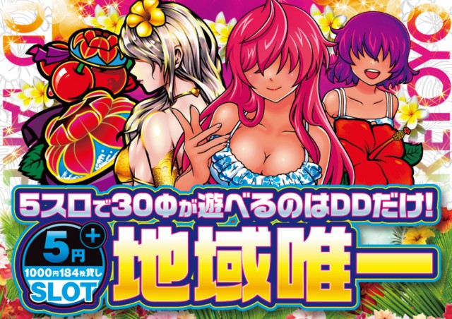 DD武豊店の最新情報画像