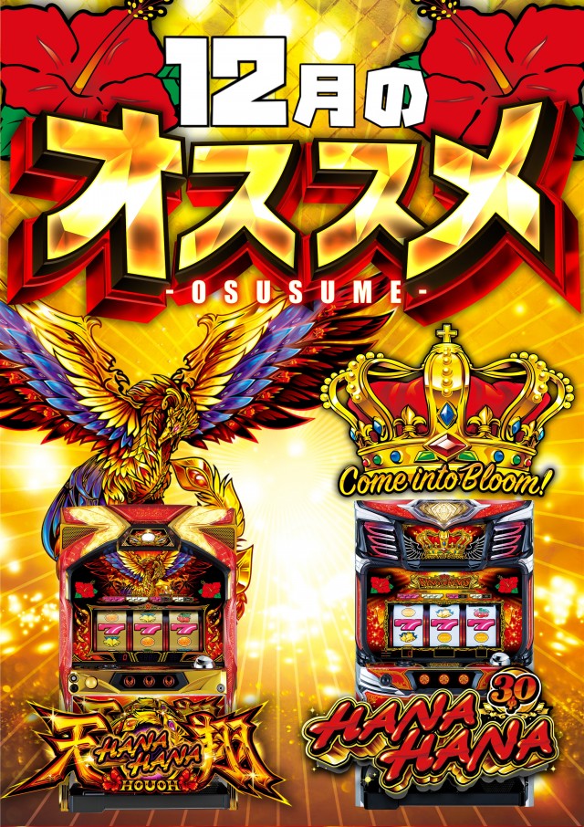 セイカの最新情報画像