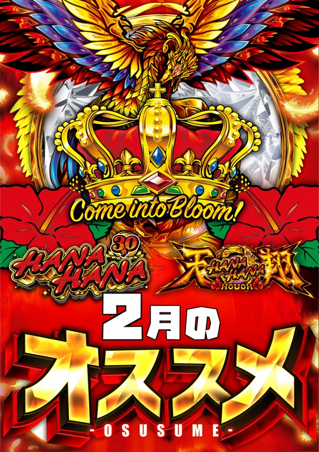 セイカの最新情報画像