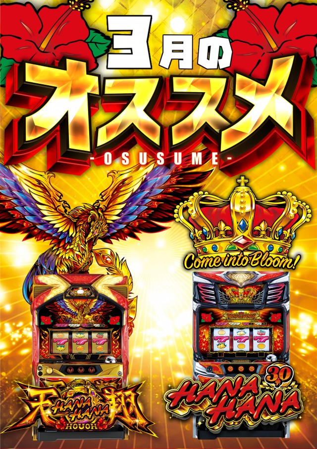 セイカの最新情報画像