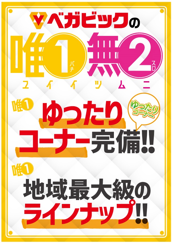 ベガビック1050多治見店の最新情報画像