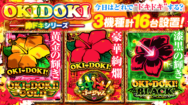 ネクスト中津川店の最新情報画像