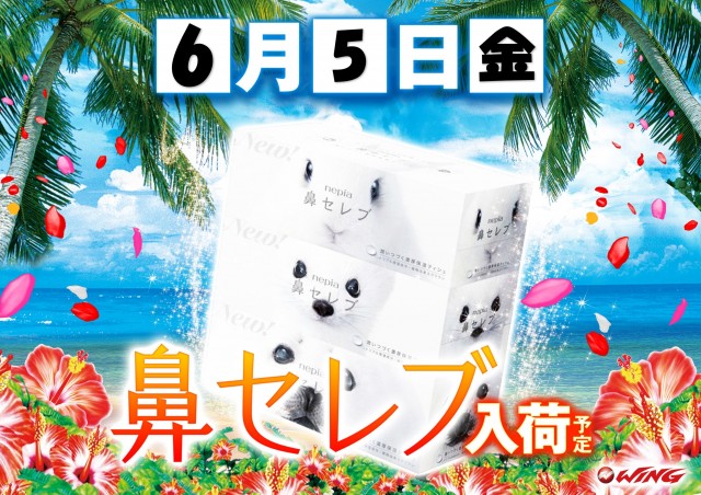 ウイング御嵩店の最新情報画像