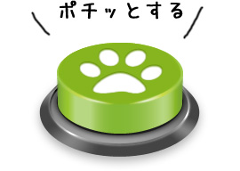 メッセ扇店の最新情報画像