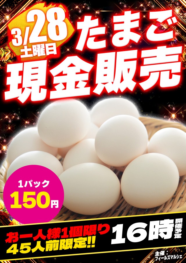 サンエイ高島店の最新情報画像