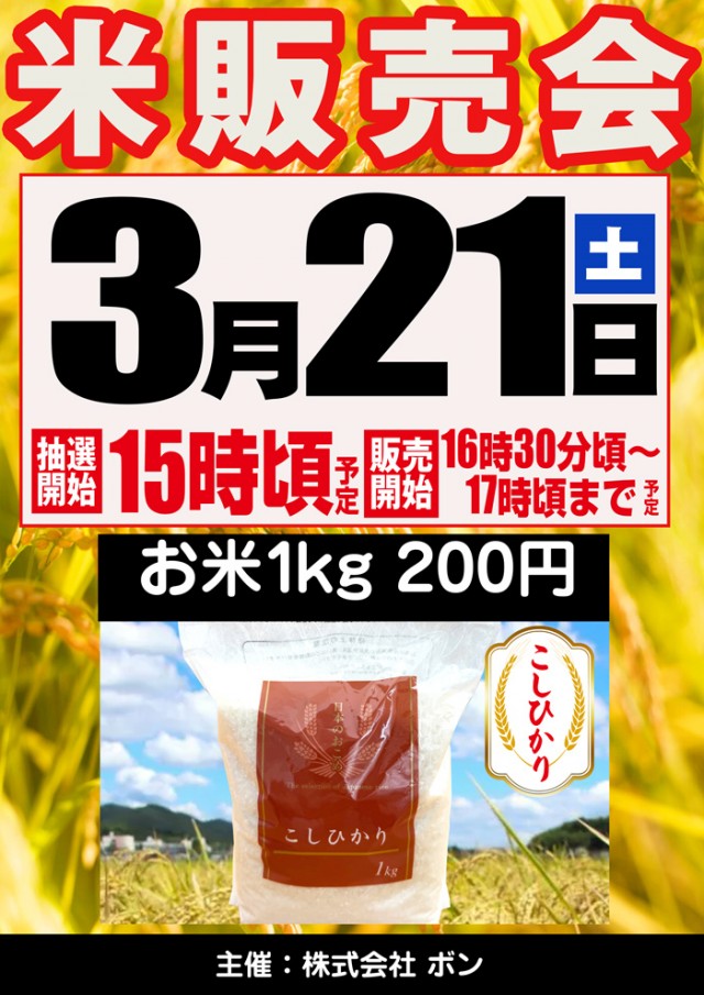 オリーブ橋本の最新情報画像