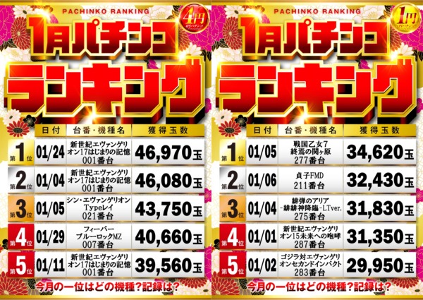 将軍葛西店の最新情報画像