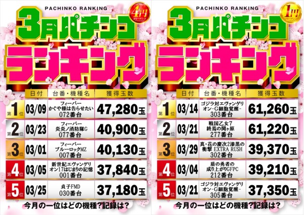 将軍葛西店の最新情報画像