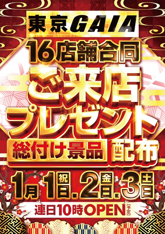 ガイア瑞江Ⅱの最新情報画像