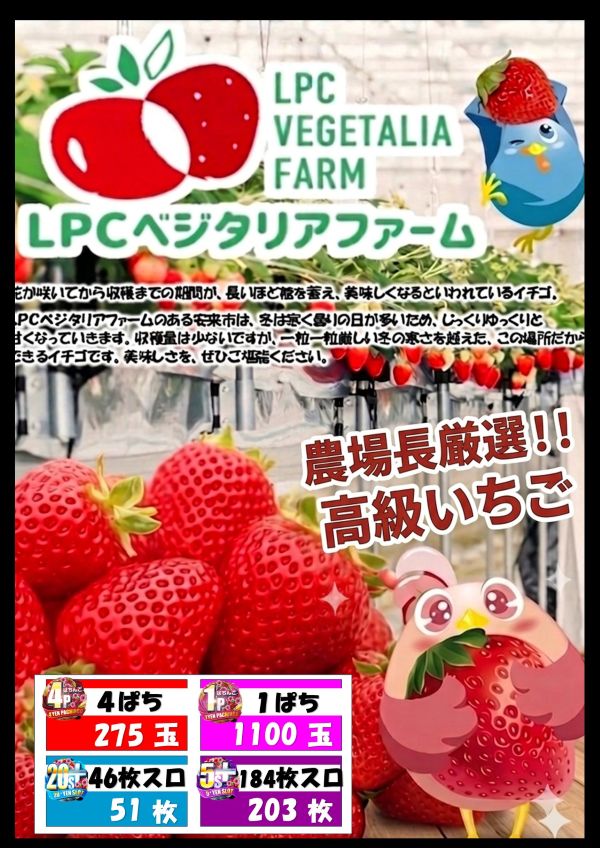 丸三垂水西口店の最新情報画像