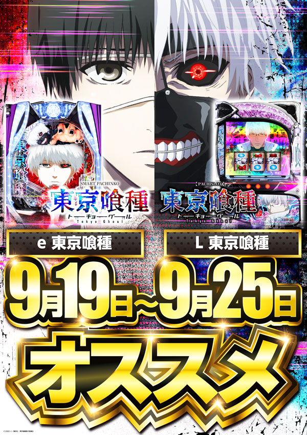 ソニックバレー1の最新情報画像