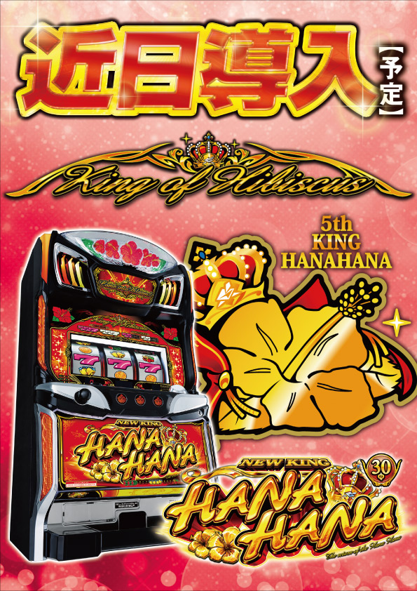 ビーディー亀田店の最新情報画像