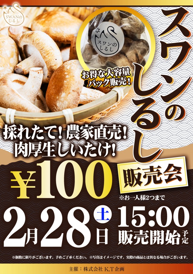 ディーズクラブ新津の最新情報画像