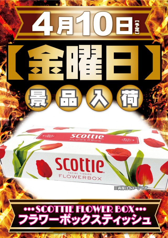 VEAM見附店の最新情報画像