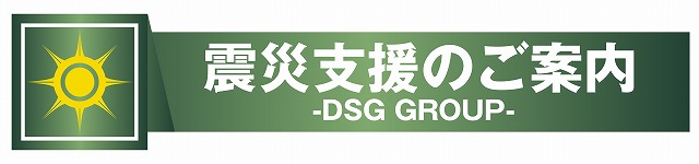 DSG　MEGA　CITYの最新情報画像