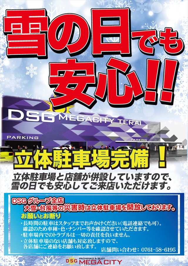 DSG　MEGA　CITYの最新情報画像