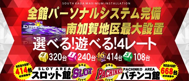 DSG　MEGA　CITYの最新情報画像