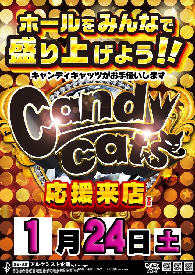 DSG WORLD豊田店の最新情報画像