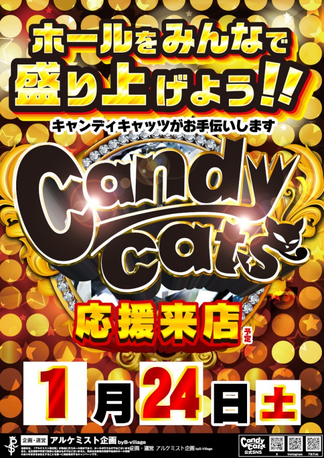 DSGアリーナ高岡店の最新情報画像