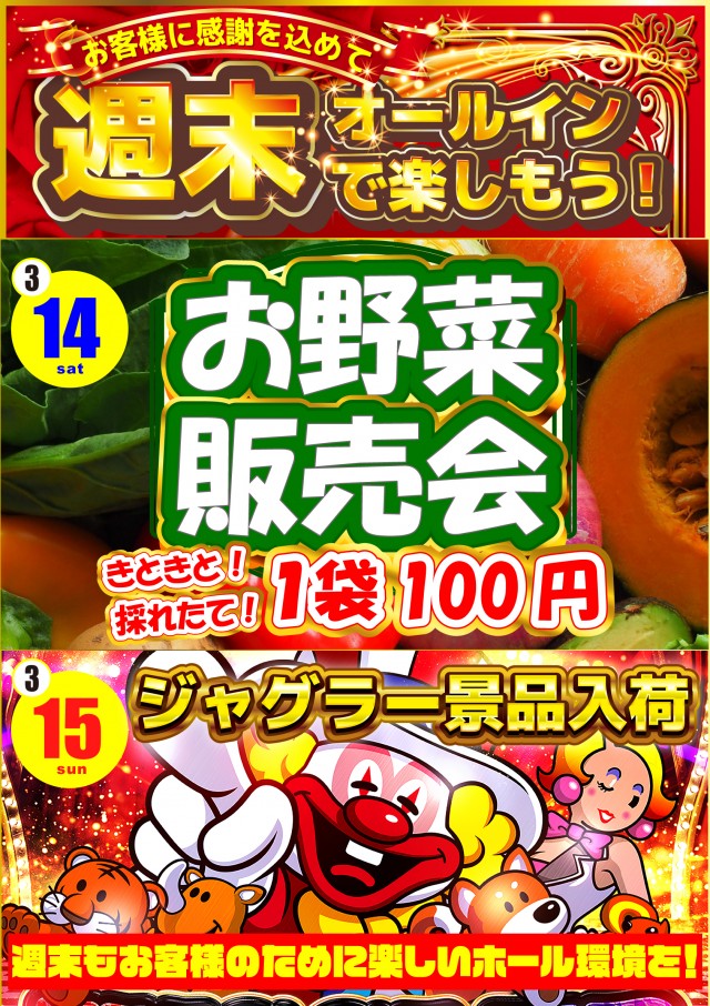 オールインの最新情報画像