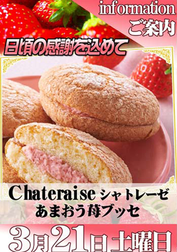 エスタディオ小杉の最新情報画像