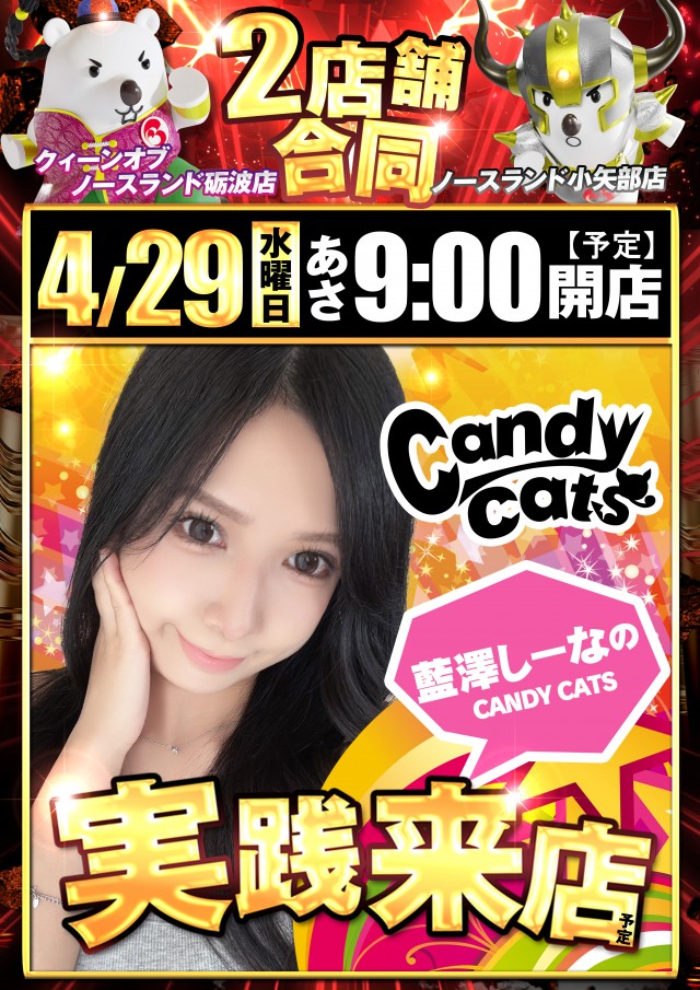 ノースランド小矢部店の最新情報画像