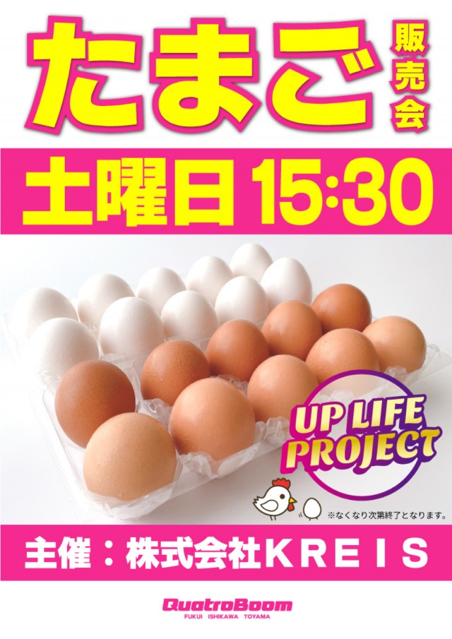 クァトロブーム開発の最新情報画像