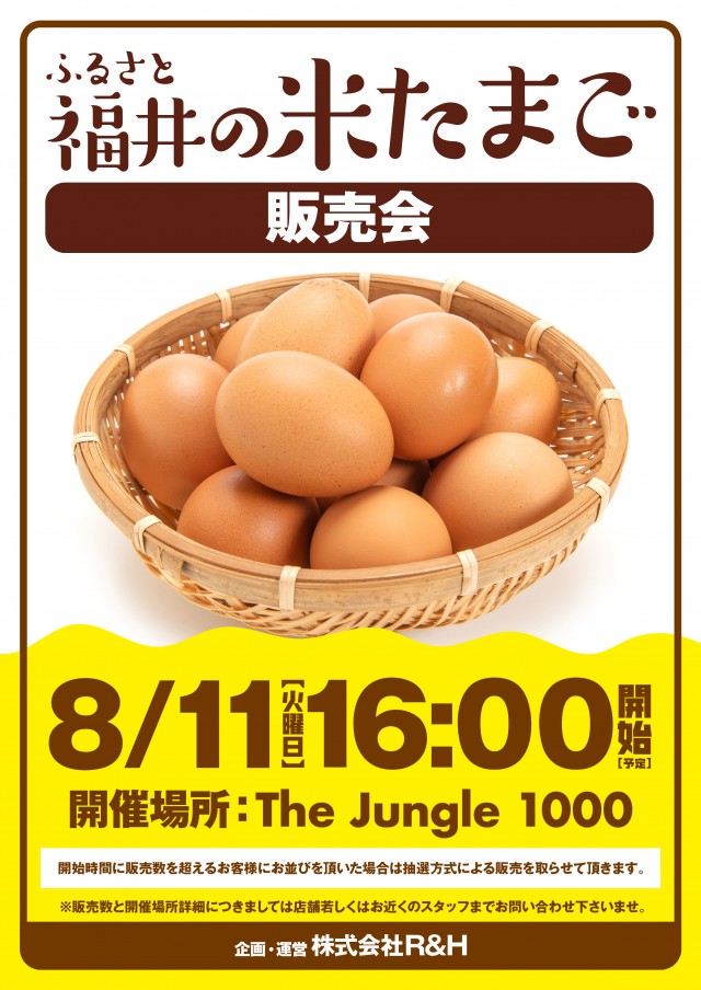 ザ･ジャングル1000の最新情報画像
