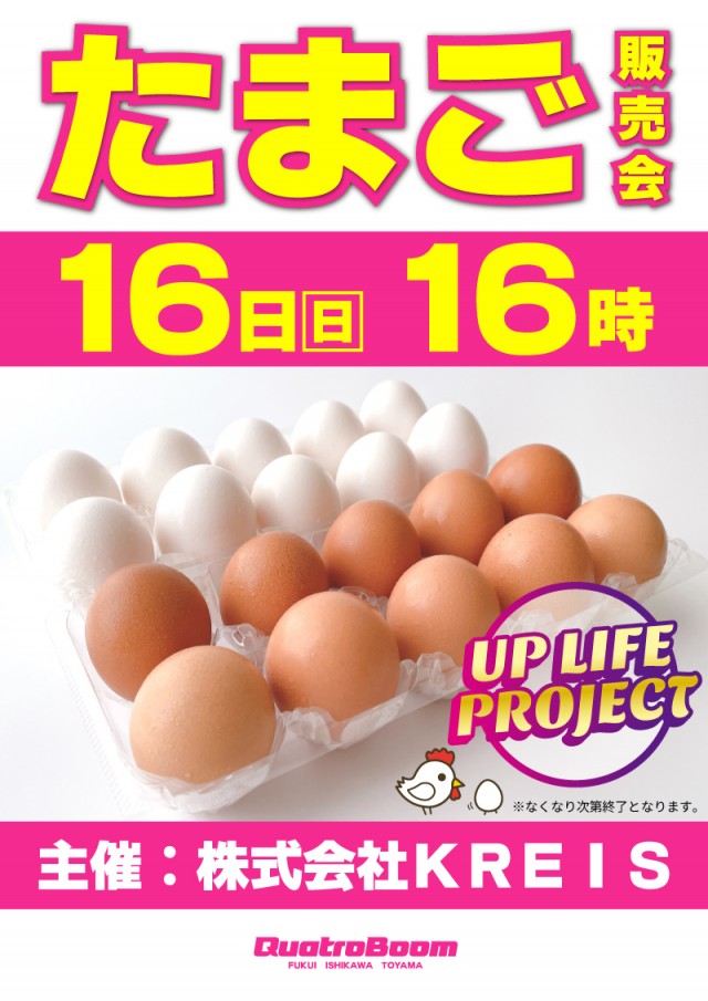 クァトロブーム新田塚の最新情報画像