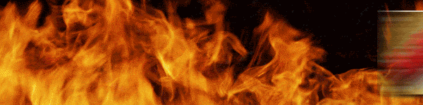 大野ワシントン2の最新情報画像