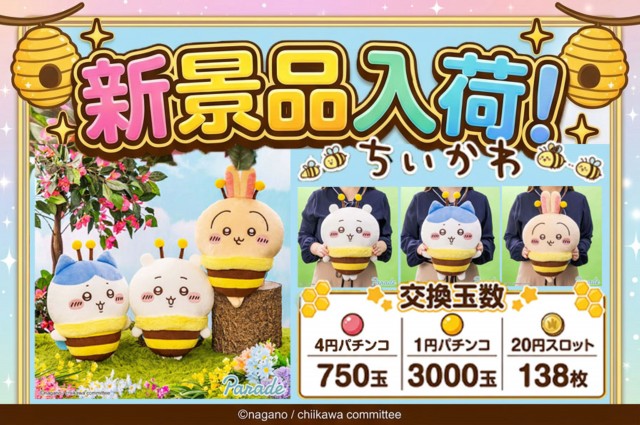 アンコールセブンの最新情報画像