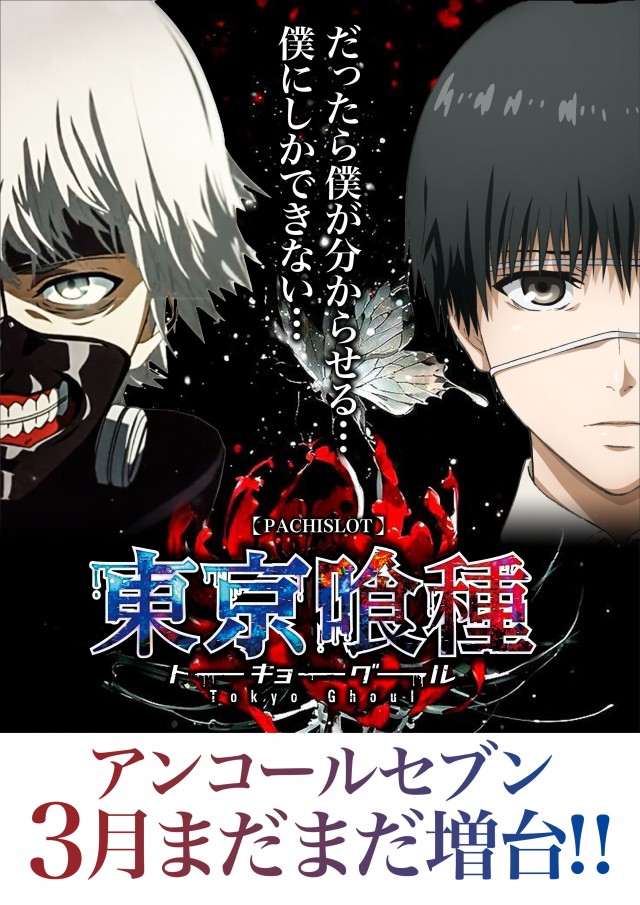 アンコールセブンの最新情報画像